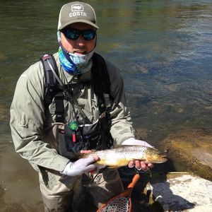 Meet your Posher, Brian